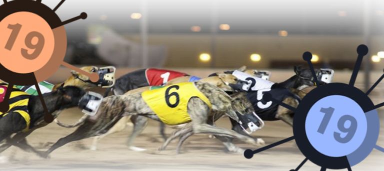 greyhound racing prize money