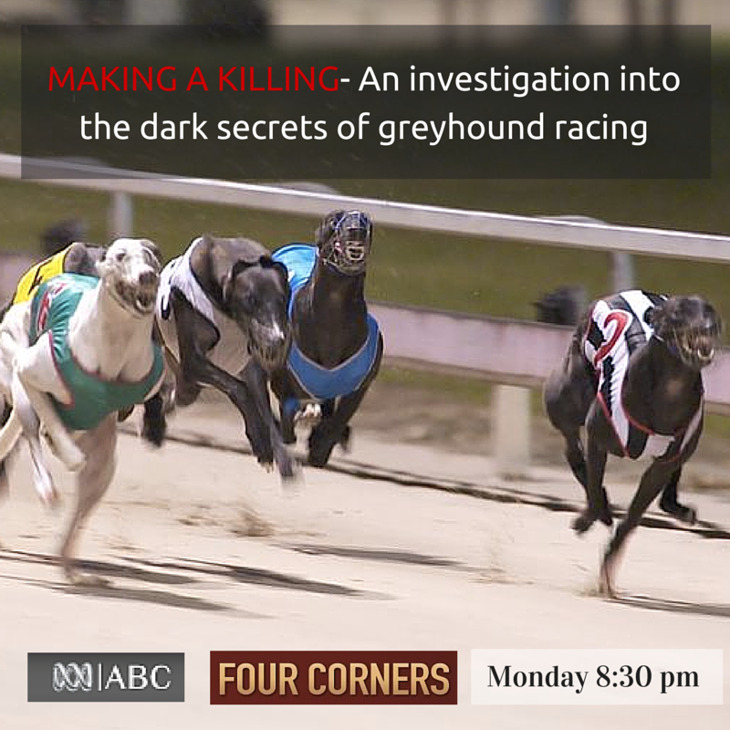 Reply to the Special Commission of Inquiry into the Greyhound Racing Industry in NSW.