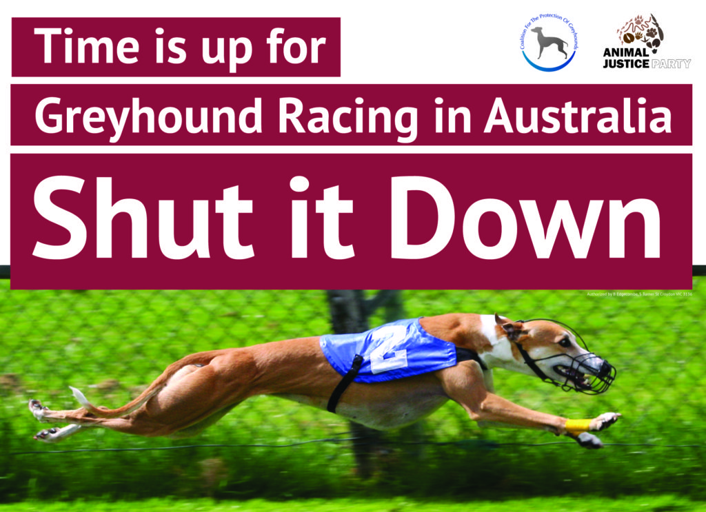 Greyhound Racing Fact Sheet for Printing and Distribution