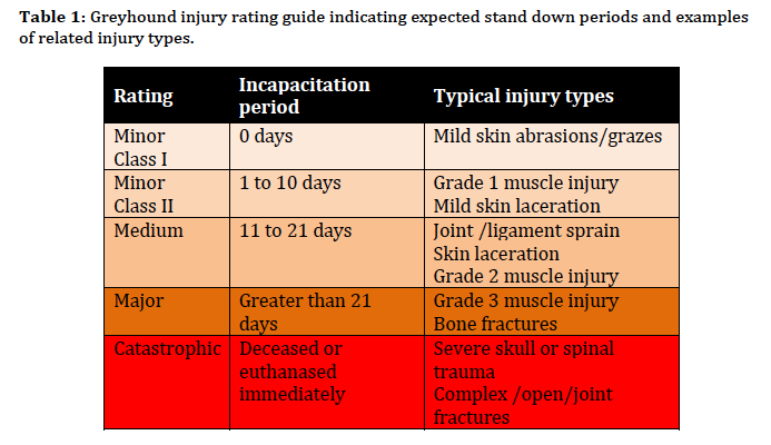 Injury rating