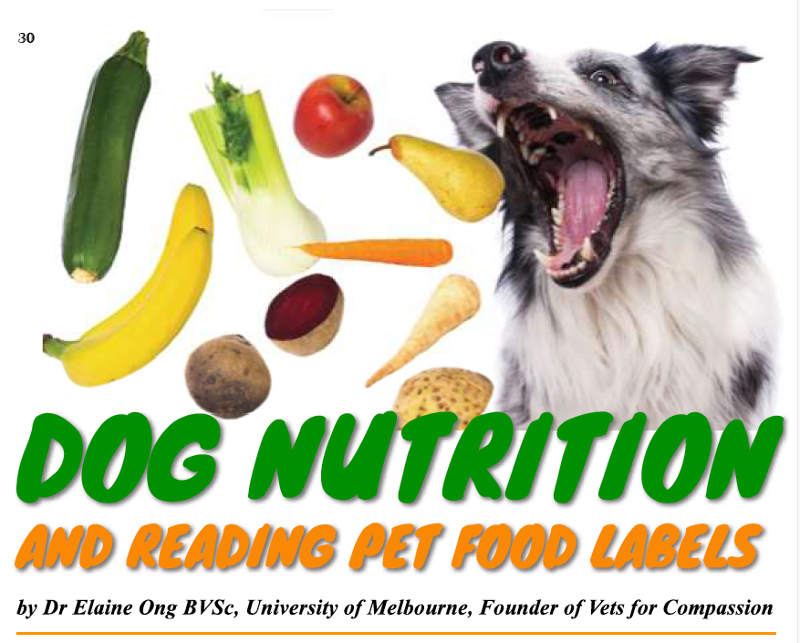 Dog Nutrition