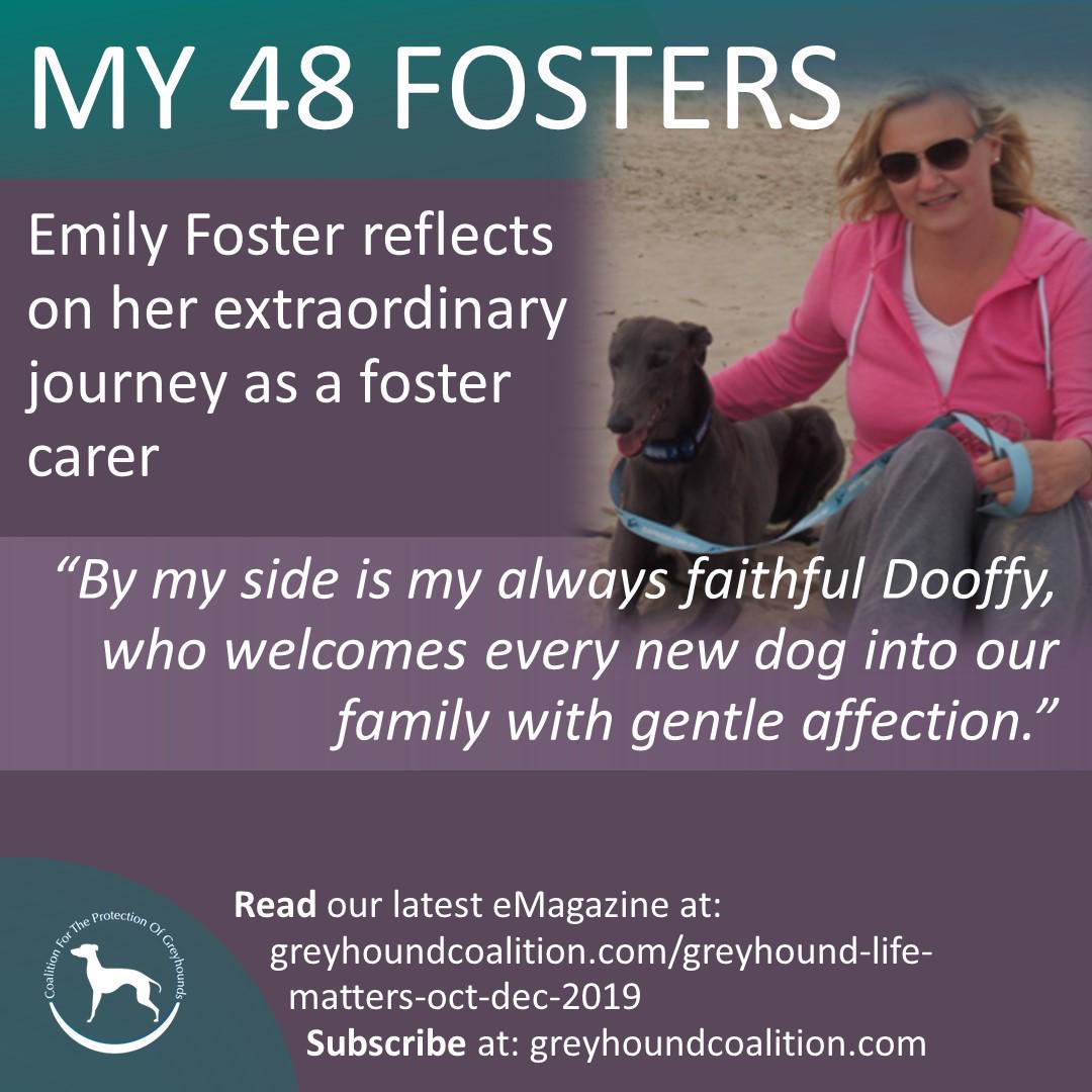Meme_Issue6_my 48 fosters