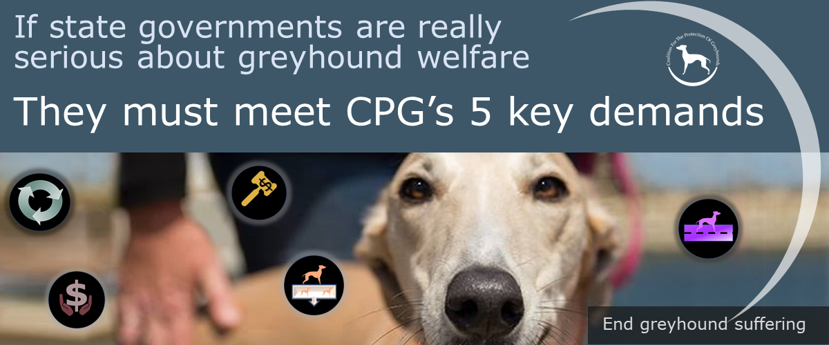 Greyhound official website