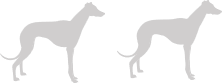 Greyhound icons