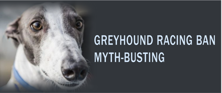 Myth-busting: the 2016 NSW Greyhound Racing Ban