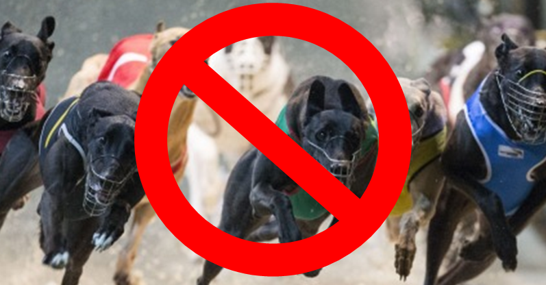 Big brands reject association with greyhound racing