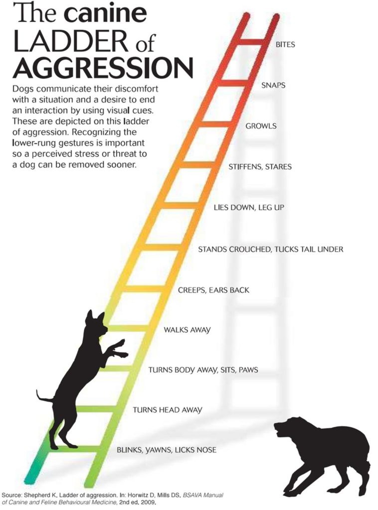 Canine ladder of aggression
