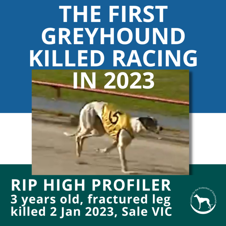 2023 Australian track deaths and injuries Coalition for the