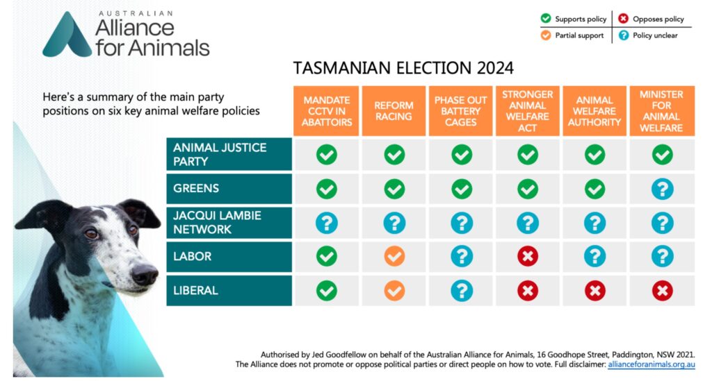 Greyhounds become election issue in Tasmania