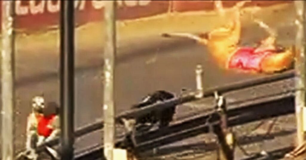 22 greyhounds killed racing in March 2025