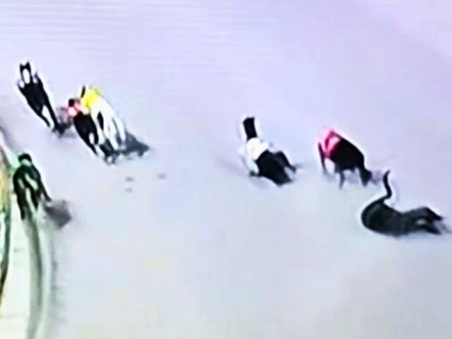 Race video obtained showing shocking deaths at The Q