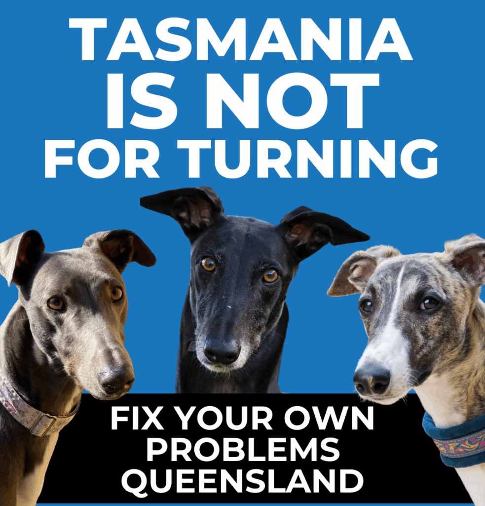 End funding for Tasmanian greyhound racing by 2029 - Coalition for the ...