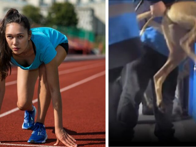Greyhound racing is not a legitimate sport