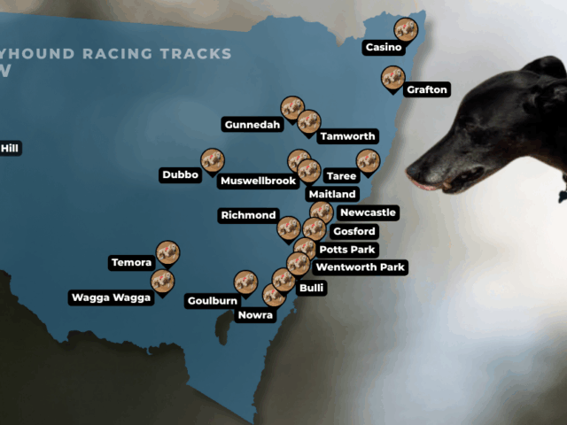 No, greyhound racing in NSW is not banned!