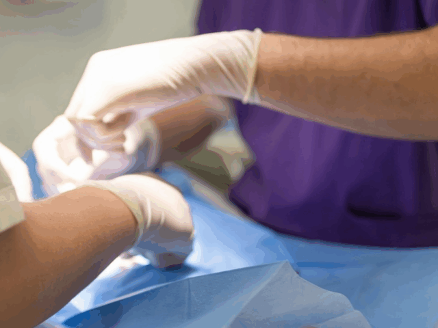 A greyhound racing vet nurse speaks of horror and abuse