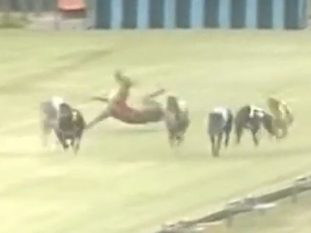 Appin killer track closes – another one bites the dust