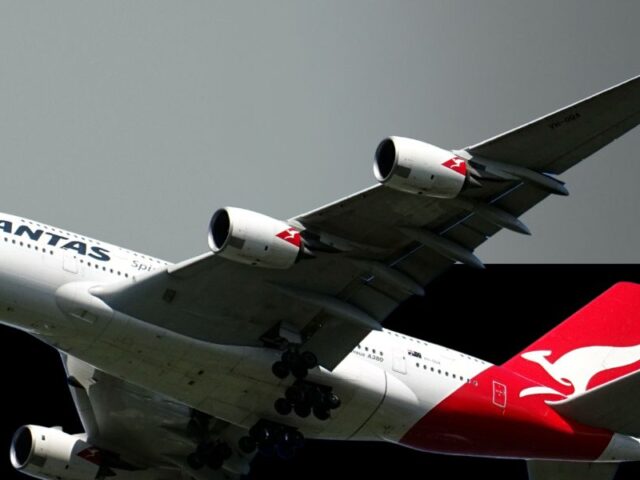 Qantas and Jetpets exporting Australian greyhounds again – blood on their hands