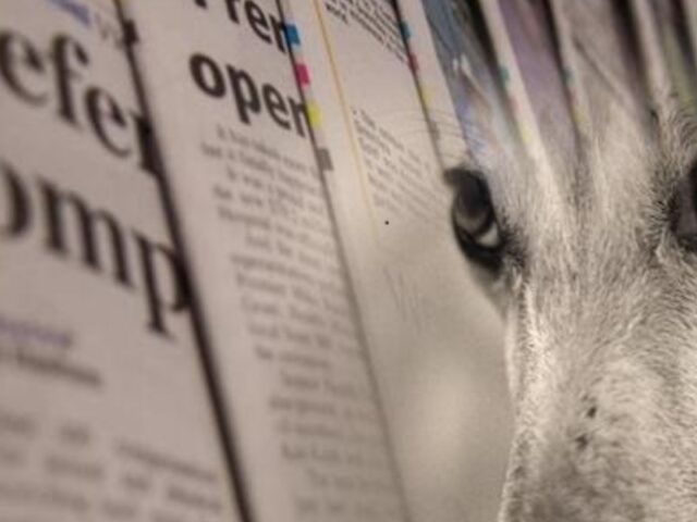 The Greyhound Racing Media Watchdog