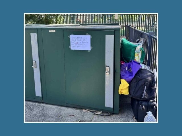 The shocking deaths of Chilli and Ebony will not be in vain