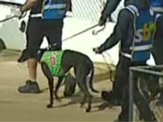 Latest news from Victoria’s lethal tracks, March 2026