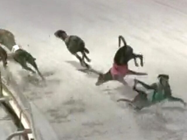 Bing Lee cancels sponsorship of big race