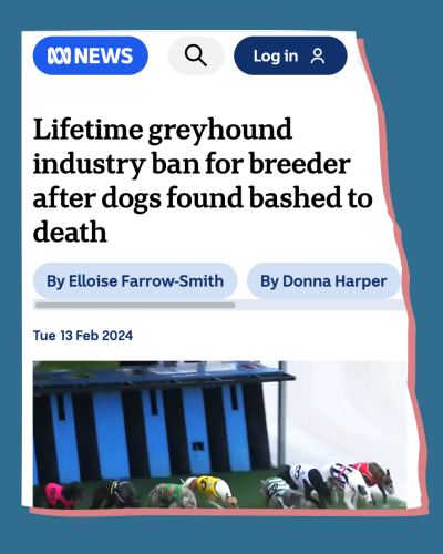 Untitled design (15)